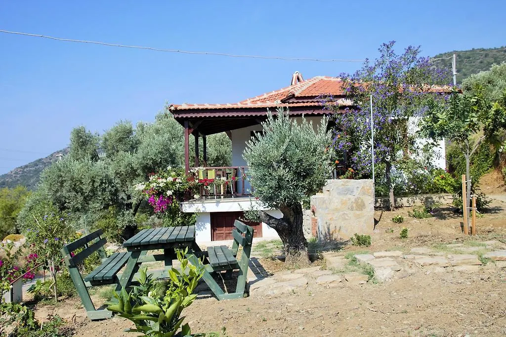 Avlana House Hotel Mesudiye  0*,
