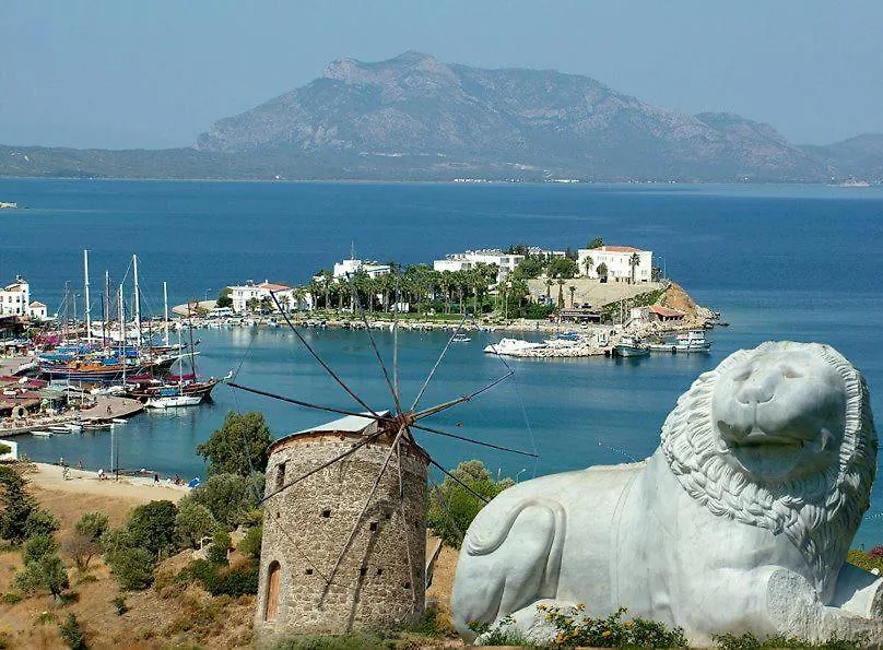 Avlana House Hotel Mesudiye  0*,